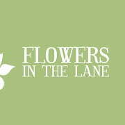 61897831_2254316654657987_5044566787119644672_o (2)