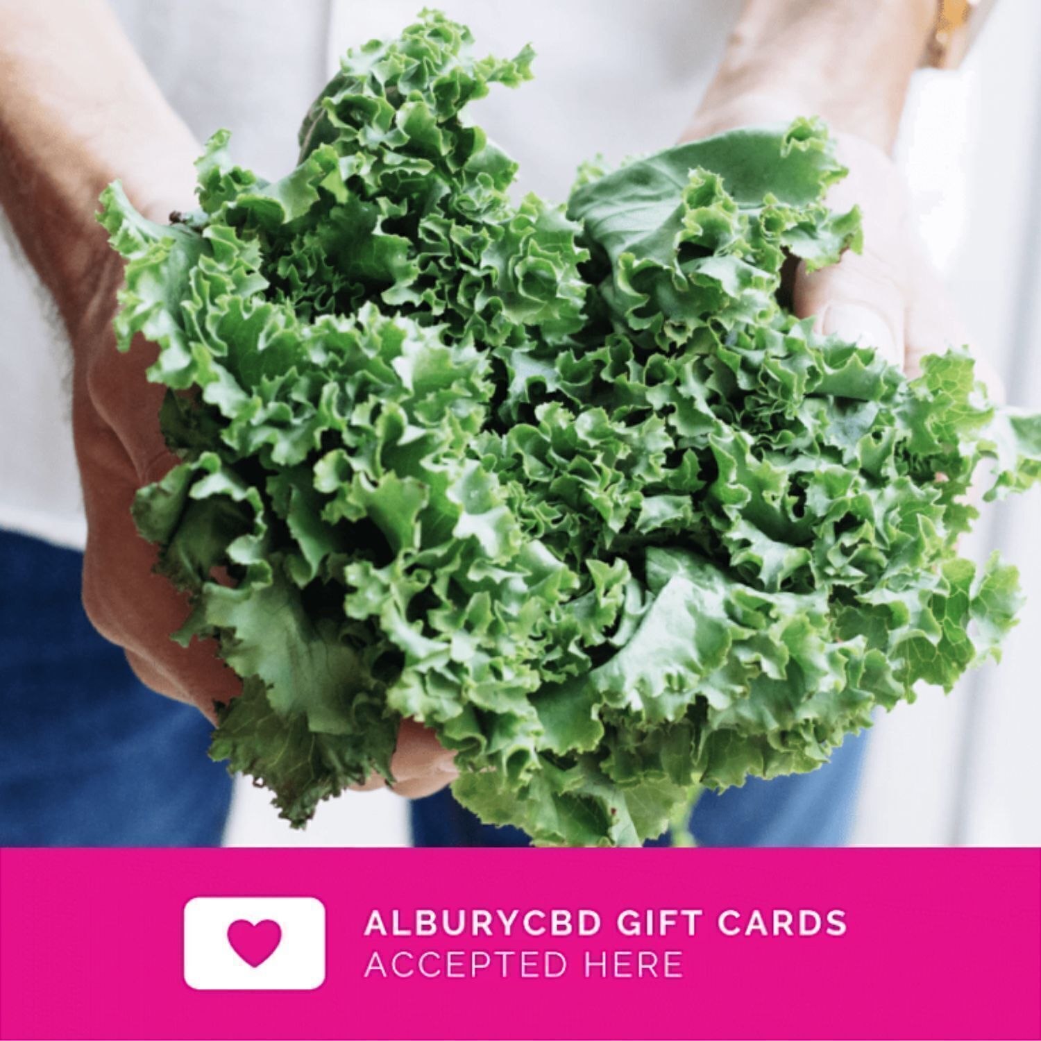 Albury CBD Accepted Gift Card Businesses (6)