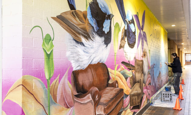 AlburyCBD Sets The Scene For Interactive Mural To Captivate Shoppers
